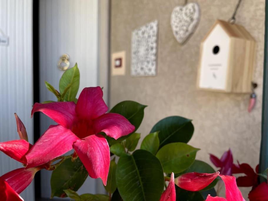 Annali Casa Vacanze - Shabby Style Nella Natura La Spezia Kültér fotó